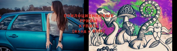 крисы Надым