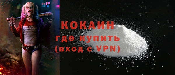 крисы Надым