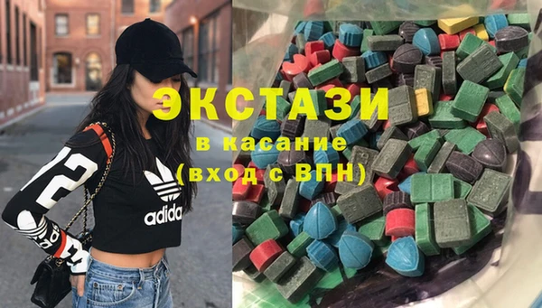 крисы Надым