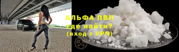 крисы Надым