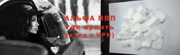 крисы Надым