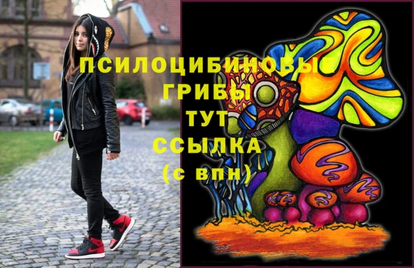 крисы Надым