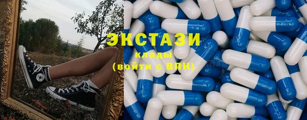крисы Надым