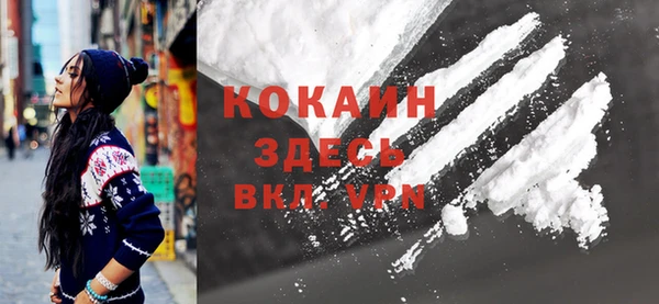 крисы Надым