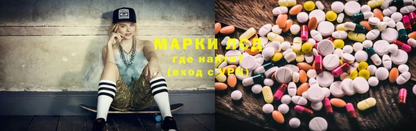 крисы Надым