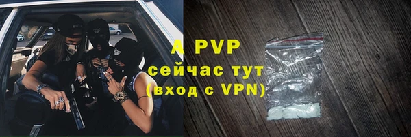 крисы Надым