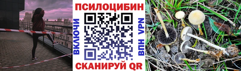 купить закладку  Правдинск  Галлюциногенные грибы мицелий 