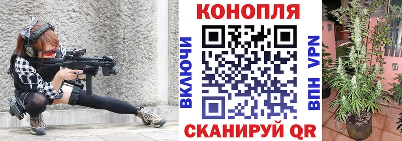 Каннабис OG Kush  Правдинск 